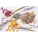 Concept SO2000, sušička ovocia digitálna, 650 W