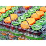 Concept SO2042, digitálna sušička ovocia