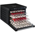 Concept SO3000 PROFI, sušička ovocia, 1000 W