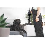 Concept VP6300 ULTIMATE Complete Pro, tyčový vysávač