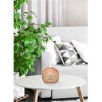 Concept ZV1005 Perfect Air 2v1 Wood, zvlhčovač vzduchu s aromadifuzérem