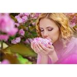 Concept ZV1010 Perfect Air, zvlhčovač vzduchu s aromadifuzérom 2v1