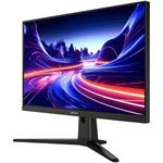 Dahua LM25-E231B, 25"