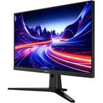 Dahua LM25-E231BN, 24.5"