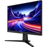 Dahua LM25-E241B, 24.5"