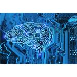 Dell Precision 3590, RHV40, sivý