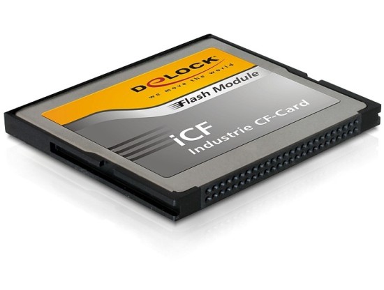 DeLock CompactFlash Industrial, 2 GB