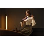 Dreame Hair Airstyle PRO, fén na vlasy, fialový