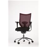 Dynamická stolička Ergonomis Basic bordová