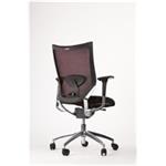 Dynamická stolička Ergonomis Basic bordová