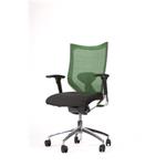 Dynamická stolička Ergonomis Basic zelená