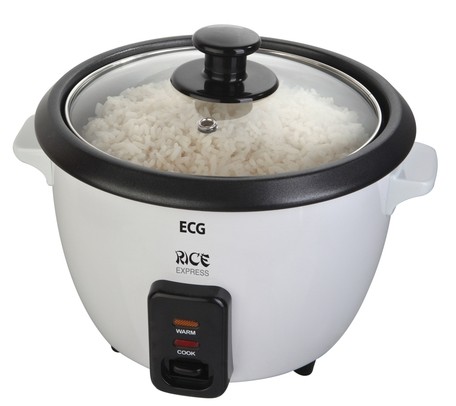 ECG RZ 11 ryžovar