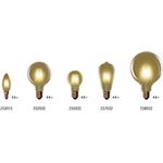 Emos Z53012 Vintage, LED žiarovka sviečka, E14, 2,5 W (20 W), 225 lm, teplá biela