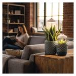 Emos Z7901, LED GROW pestovateľská lampa 5 W, časovač, biela