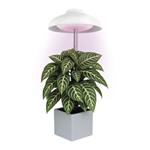 Emos Z7901, LED GROW pestovateľská lampa 5 W, časovač, biela