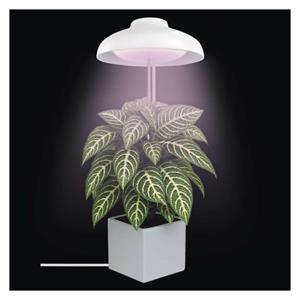 Emos Z7901, LED GROW pestovateľská lampa 5 W, časovač, biela