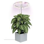 Emos Z7902, LED GROW pestovateľská lampa 8 W, časovač, stmievateľná, biela