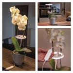 Emos Z7902, LED GROW pestovateľská lampa 8 W, časovač, stmievateľná, biela