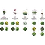 Emos Z7902, LED GROW pestovateľská lampa 8 W, časovač, stmievateľná, biela