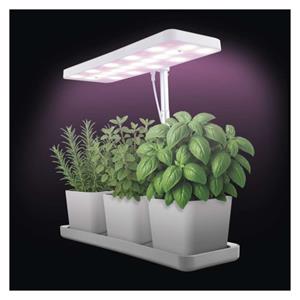 Emos Z7904, LED GROW pestovateľská lampa 7 W, časovač, stmievateľná lampa, biela