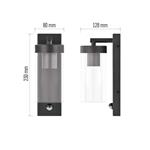 Emos ZGC040P, záhradné nástenné svietidlo ZALA, senzor súmraku, 14,5 x 8,9 x 26,2 cm, 1 x E27, 15 W