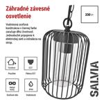 Emos ZGD070P SALVIA, zahradné závesné svietidlo, 16 x 16 x 32 cm, 1 x E27, 15 W