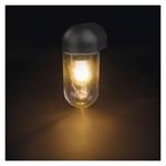 Emos ZGG010P, záhradné nástenné svietidlo CASSIA, 12,6 x 9,5 x 22,2 cm, 1 x E27, 15 W