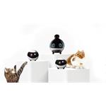 Enabot Rola Mini, inteligentný robot