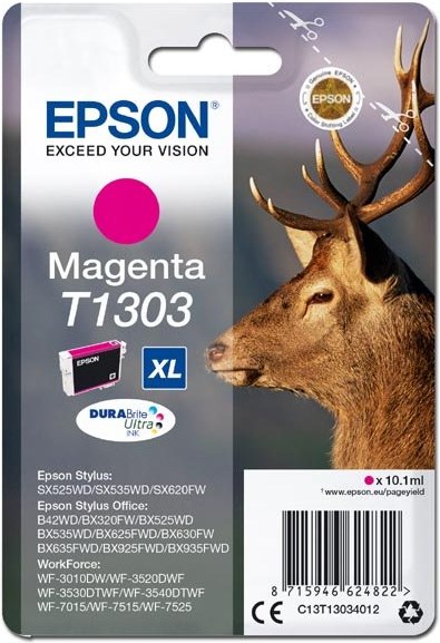KAZETA EPSON T130 ink magenta Stylus SX5