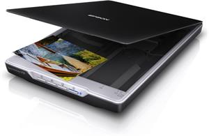 Epson Perfection V19
