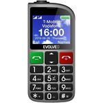EVOLVEO EasyPhone FM, Dual SIM, strieborný