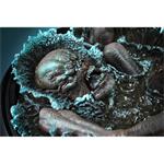 Figúrka Zaklínač - Geralt vs. Kikimora (limitovaná edícia)