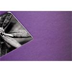Fine Art Spiral Album, purple, 34x32/50