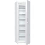 FN6191DW mraziak šuflíkový GORENJE