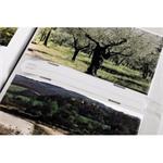foto album Yellow 10x15/200, rozmery 19x25 cm