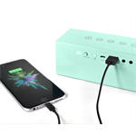Fresh 'n Rebel Rockbox Brick Fabriq Edition Bluetooth reproduktor, bledozelený