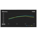 FSP Vita GD 750W, Gold