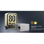 FSP Vita GM White 1000W, Gold, Modular