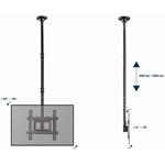 Gembird držiak stropný na TV 32-70", (50kg)