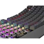 Genesis Thor 230 TKL RGB herná klávesnica, Outemu Brown, USB, US layout, čierna