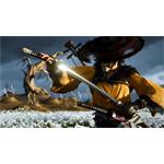 Ghost of Yotei Collectors Edition (PS5)