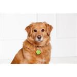 Gigaset G-tag lokalizačný čip červený