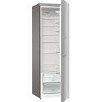 Gorenje R619EES5, chladnička monoklimatická