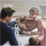 GP ReCyko 3000, nabíjateľná batéria (C), 2ks