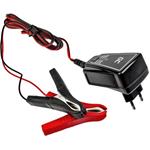 Green Cell nabíjačka pre akumulátory 6V / 12V, 1A