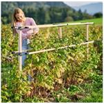 Gusta Garden Berry Buddy podporná konštrukcia, 120cm