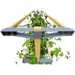 Gusta Garden Berry Buddy podporná konštrukcia, 120cm