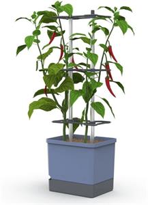 Gusta Garden Charly Chili XL samozavlažovací kvetináč, modrý