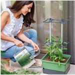 Gusta Garden Charly Chili XL samozavlažovací kvetináč, svetlo-sivý