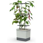 Gusta Garden Charly Chili XL samozavlažovací kvetináč, svetlo-sivý